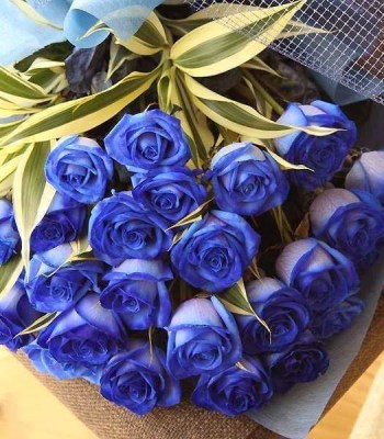 15blue-roses